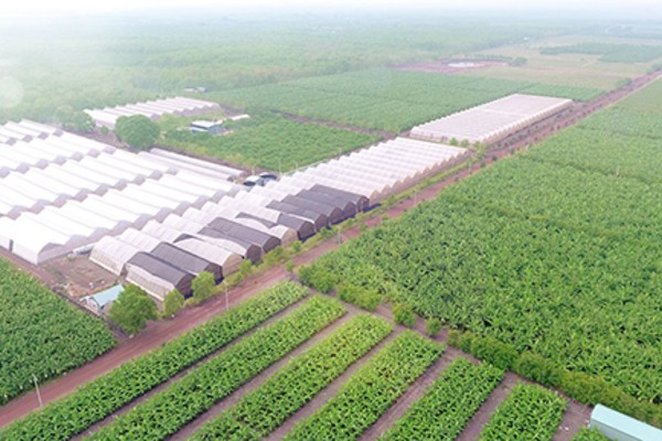 Nông nghiệp công nghệ cao là hướng đi đẩy mạnh hợp tác kinh tế Bình Dương - Yamaguchi (Nhật Bản) Nông nghiệp công nghệ cao là hướng đi đẩy mạnh hợp tác kinh tế Bình Dương - Yamaguchi (Nhật Bản)