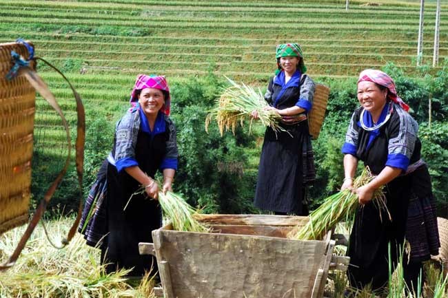 Xóa đói giảm nghèo - điểm sáng trong bảo đảm nhân quyền ở Việt Nam Xóa đói giảm nghèo - điểm sáng trong bảo đảm nhân quyền ở Việt Nam