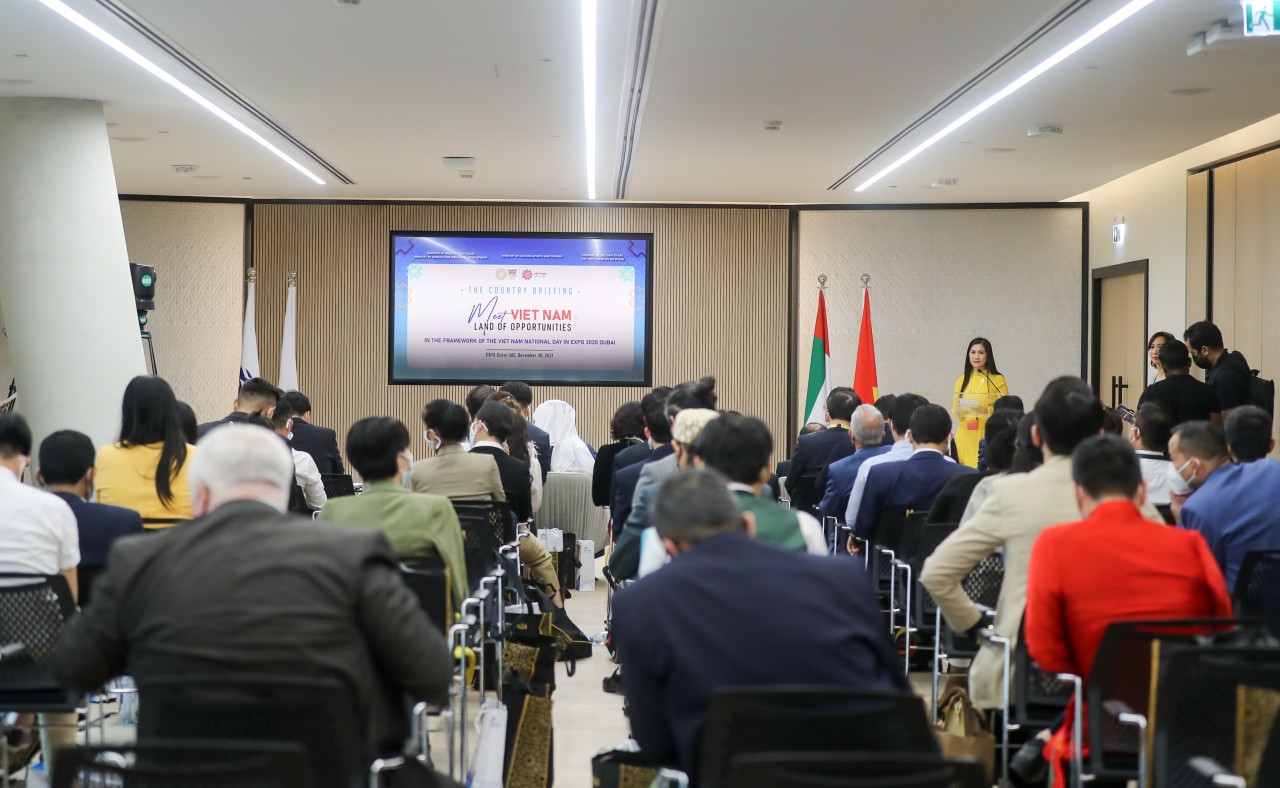 Việt Nam giới thiệu tiềm năng đầu tư và hợp tác với UAE Việt Nam giới thiệu tiềm năng đầu tư và hợp tác với UAE
