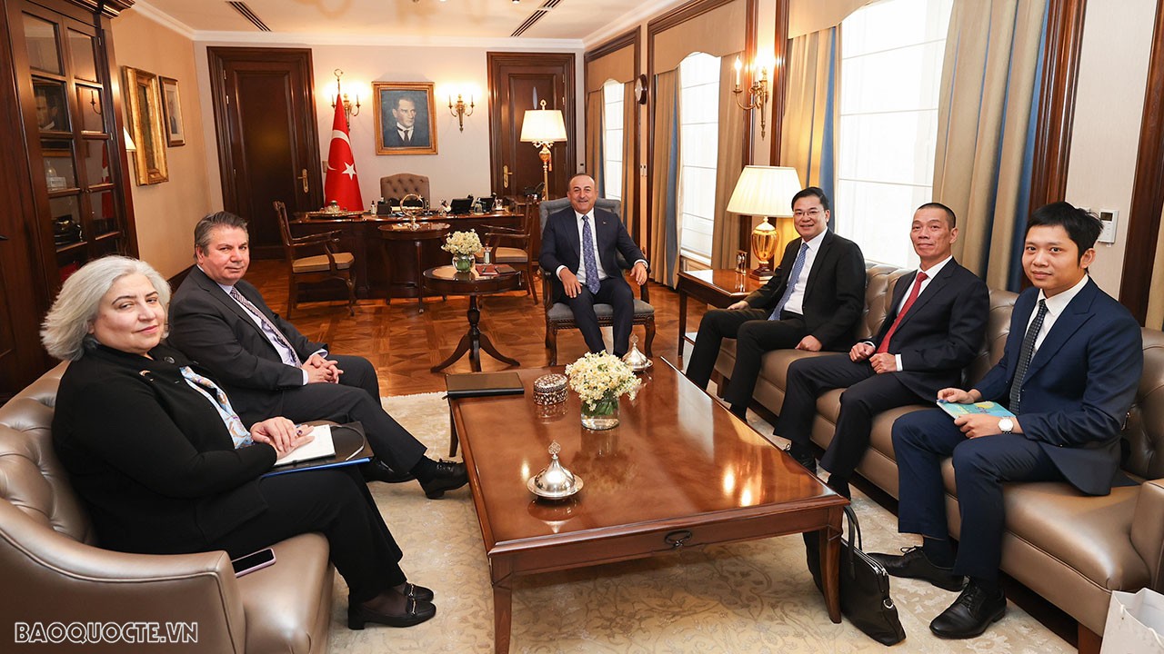 Thứ trưởng Ngoại giao Phạm Quang Hiệu chào Bộ trưởng Ngoại giao Thổ Nhĩ Kỳ Mevlut Cavusoglu