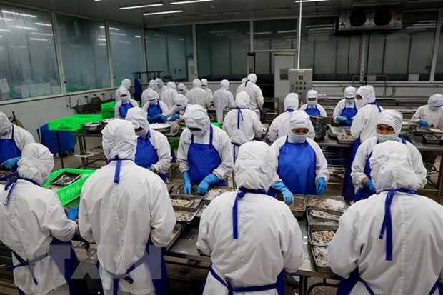 Xuất khẩu thủy sản đạt năm 2022 đạt mức kỷ lục khoảng 11 tỷ USD hình ảnh 1 Xuat khau thuy san dat nam 2022 dat muc ky luc khoang 11 ty USD hinh anh 1