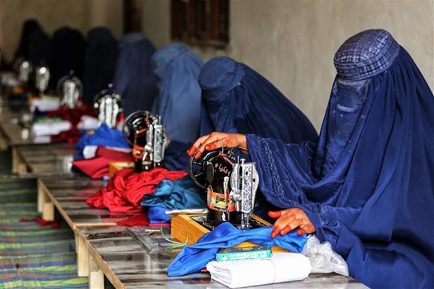 HĐBA LHQ kêu gọi Taliban đảo ngược các rào cản đối với nữ giới hình ảnh 1 HDBA LHQ keu goi Taliban dao nguoc cac rao can doi voi nu gioi hinh anh 1