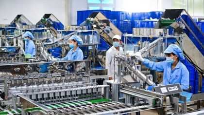 越南—非洲国家潜力巨大的合作伙伴