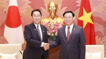越南国会主席王廷惠会见日本首相岸田文雄