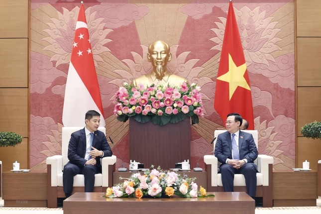 促进越南与新加坡国会之间的合作 促进越南与新加坡国会之间的合作