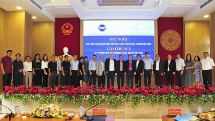庆和省举行关于外国非政府援助促进与动员工作的研讨会