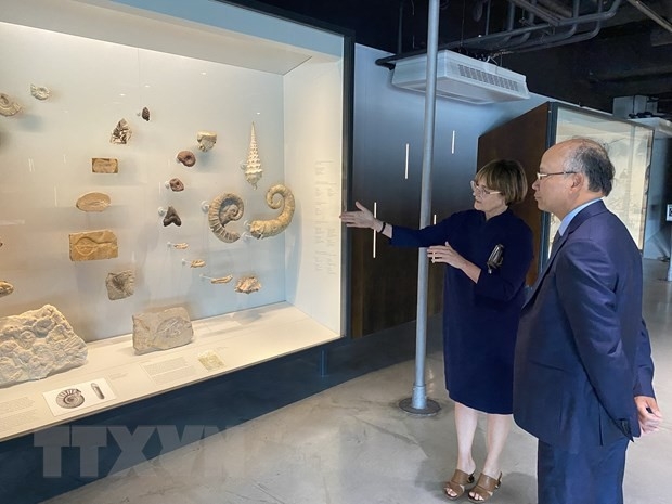 越南与法国加强在环保绿色基础设施、能源、医药等领域的合作