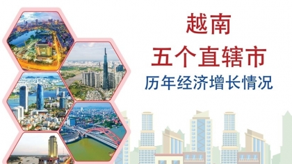 越南五个直辖市历年经济增长情况