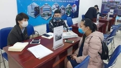 河内市力争减轻疫情冲击，努力解决好就业问题