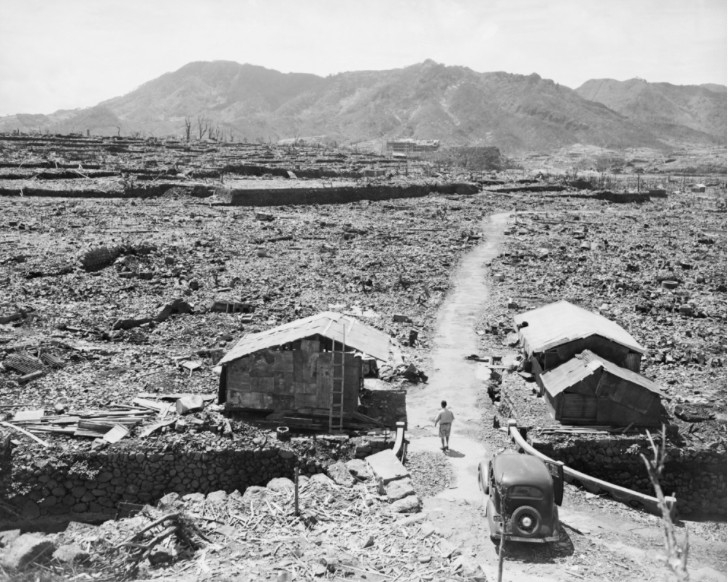 越南将继续实现建设和平、稳定、发展、无核武器世界的目标