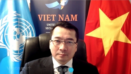 越南对波斯尼亚和黑塞哥维那的复杂局势表示关切