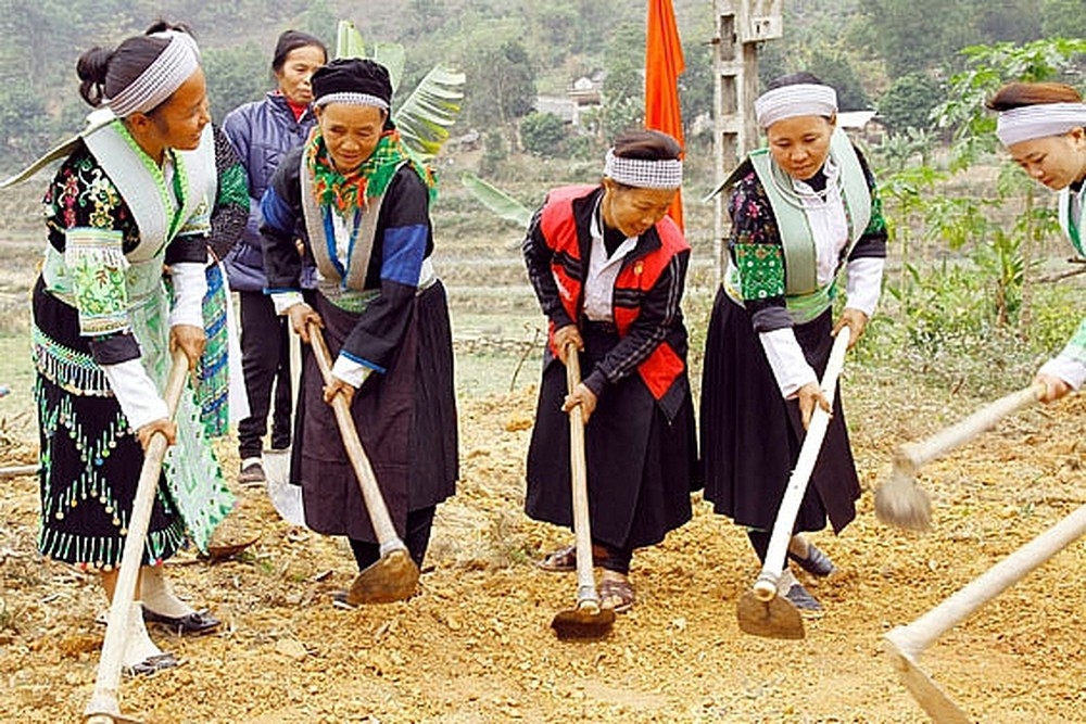保障少数民族妇女性别平等的权益:成就与挑战(附图) 保障少数民族妇女性别平等的权益:成就与挑战(附图)