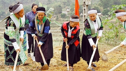保障少数民族妇女性别平等的权益：成就与挑战