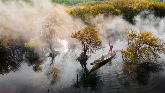 Beautiful Seasonal Changes in Hue's Mangrove Forest Beautiful Seasonal Changes in Hue's Mangrove Forest