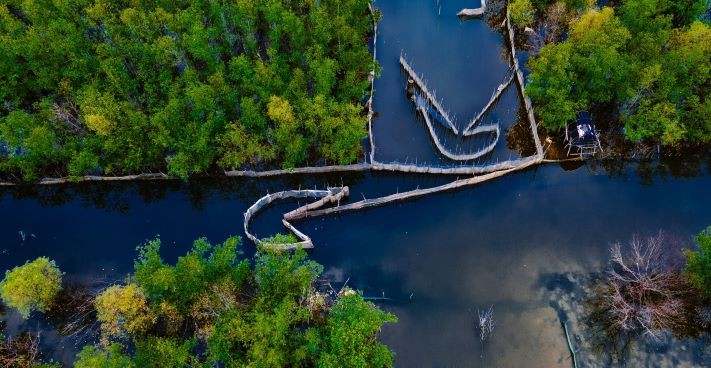 Beautiful Seasonal Changes in Hue's Mangrove Forest Beautiful Seasonal Changes in Hue's Mangrove Forest
