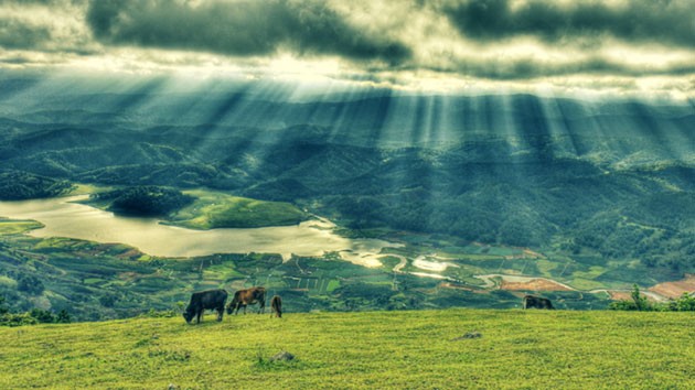 Eleven Biosphere Reserves in Vietnam Recognised by UNESCO Eleven Biosphere Reserves in Vietnam Recognised by UNESCO
