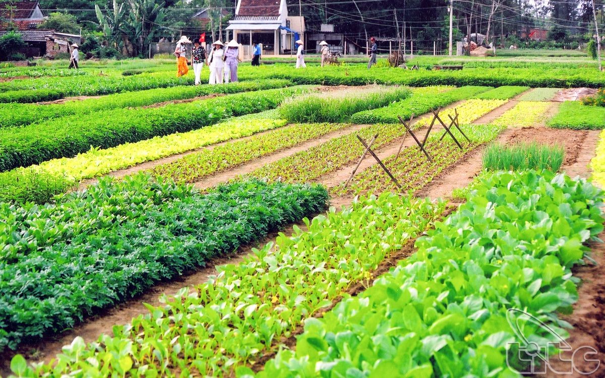 Hội An: Những điểm đến không thể bỏ qua Hội An: Những điểm đến không thể bỏ qua