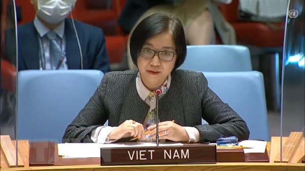 Việt Nam ủng hộ nỗ lực của LHQ nhằm cải thiện an toàn giao thông hình ảnh 1 Viet Nam ung ho no luc cua LHQ nham cai thien an toan giao thong hinh anh 1