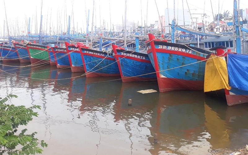 Ngư dân vượt khó, vươn khơi bám biển Ngư dân vượt khó, vươn khơi bám biển ảnh 1