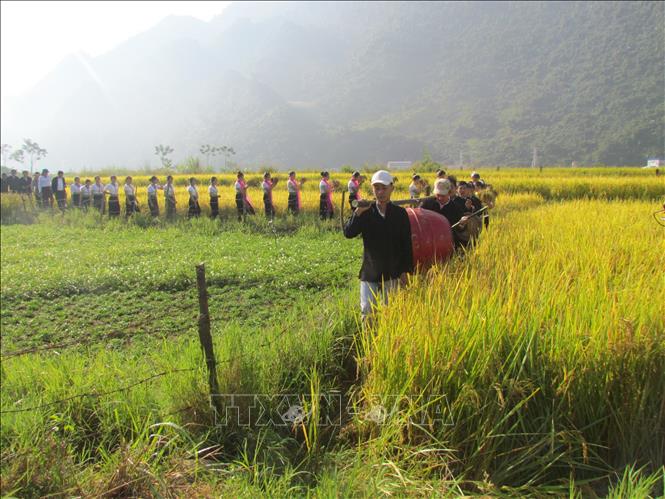 Đặc sắc Lễ hội Kin lẩu khẩu mẩu (lễ hội Cốm mới) của đồng bào dân tộc Thái ở Lai Châu Chú thích ảnh