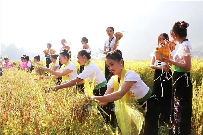 Đặc sắc Lễ hội Kin lẩu khẩu mẩu (lễ hội Cốm mới) của đồng bào dân tộc Thái ở Lai Châu Chú thích ảnh