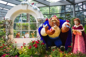 Khu vườn Kỳ diệu Disney khoe sắc tại Gardens by the Bay, Singapore