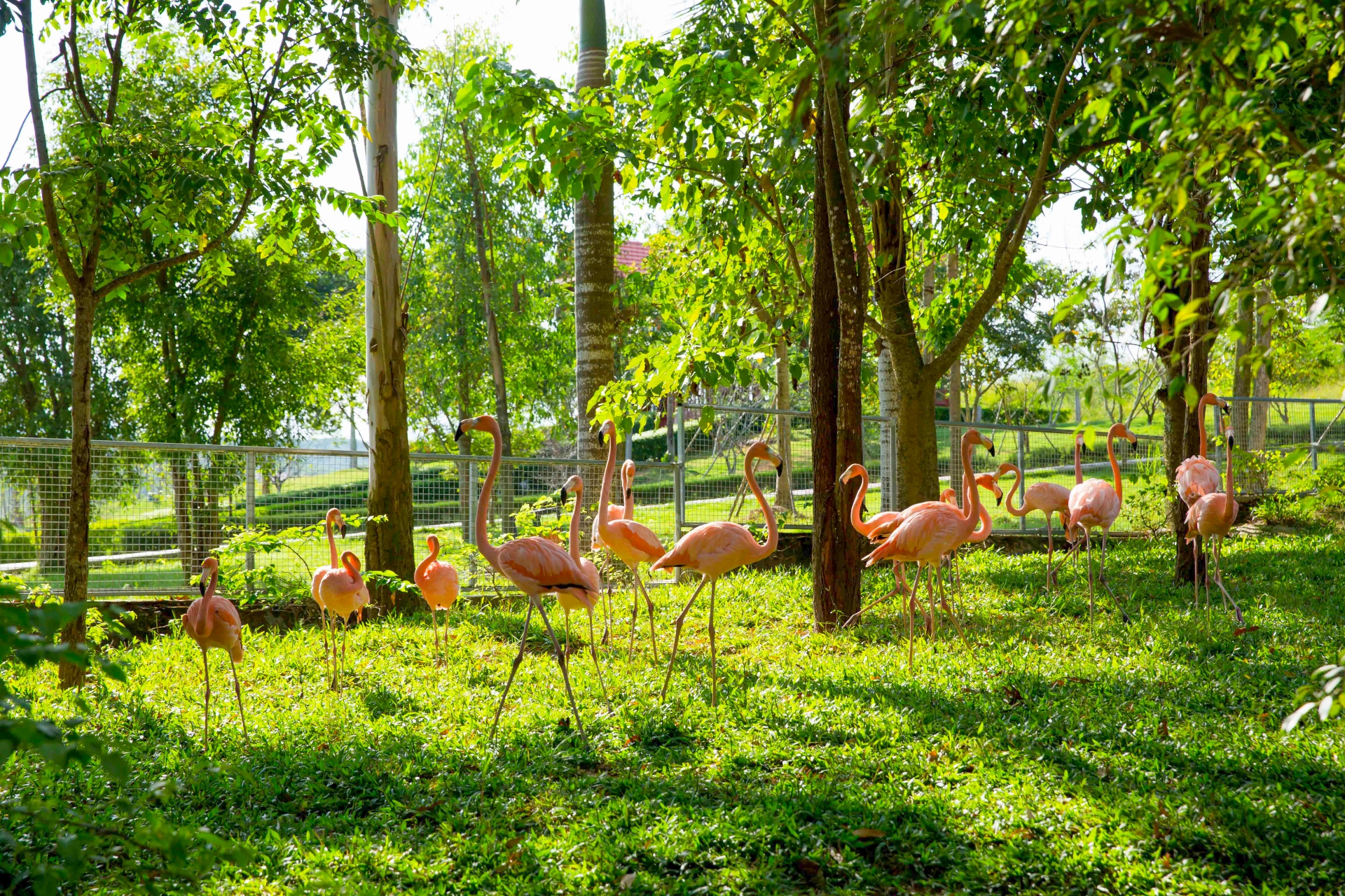 khu sinh thai muong thanh dien lam thien duong mua he tai nghe an