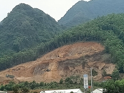 ha tinh cau tho tuong hon 200 ty dong dung