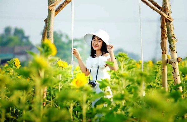 Cánh đồng hoa Hướng Dương ở Quảng Bình hút du khách trong dịp nghỉ lễ 30/4 canh dong hoa huong duong o quang binh hut du khach trong dip nghi le 304