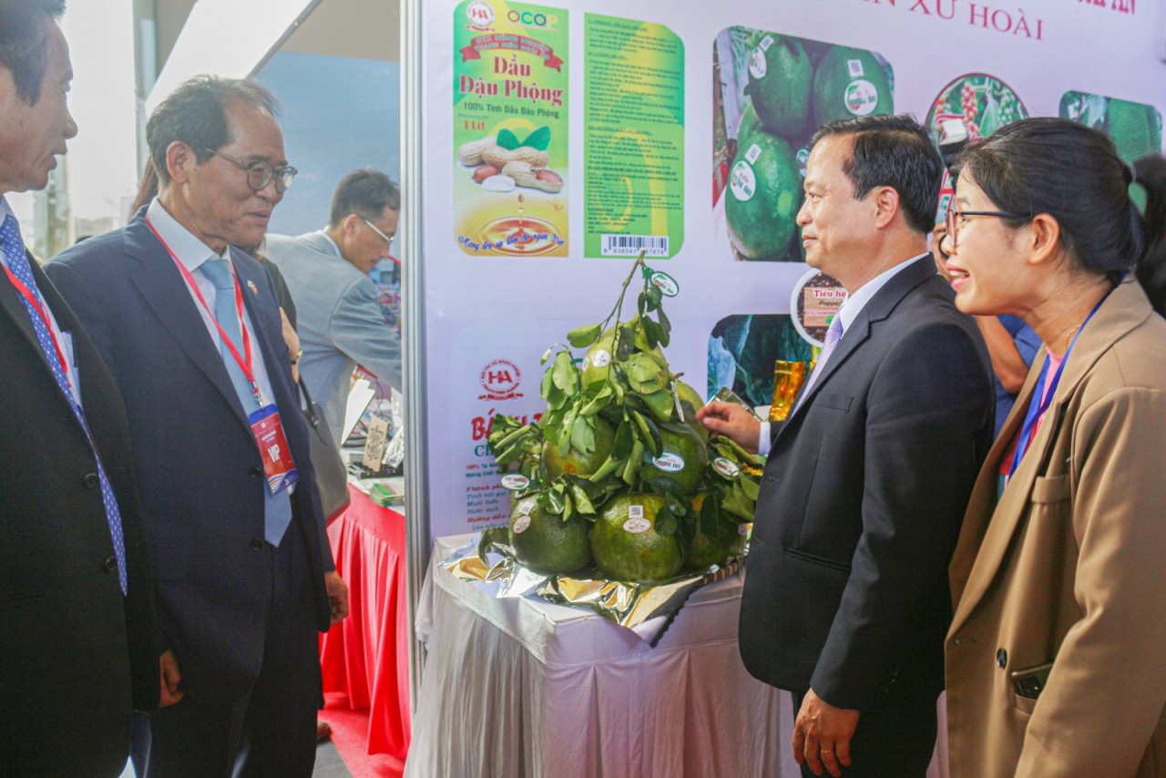 42 gian hàng tham gia sự kiện “Gặp gỡ Hàn Quốc năm 2022” tại Bình Định 42 gian hàng tham gia sự kiện “Gặp gỡ Hàn Quốc năm 2022” tại Bình Định