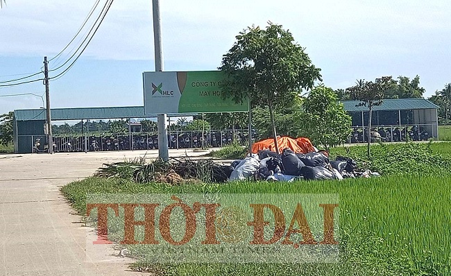 Thanh Hóa: May Hợp Lực "xẻ" đất nông nghiệp làm nhà để xe, chính quyền nói... nhiều việc quá! thanh hoa may hop luc xedat nong nghiep lam nha de xe chinh quyen noi nhieu viec qua