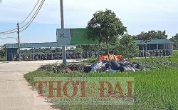 binh duong nghi van chu dau tu ky hop dong huy dong von trai phep tai du an dragon city