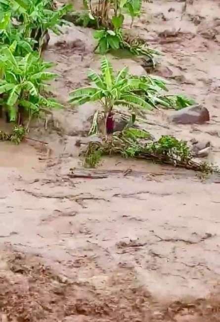 Tin bão số 3: Hàng chục người và nhà cửa bị cuốn trôi ở Thanh Hoá tin bao so 3 hang chuc nguoi va nha cua bi cuon troi o thanh hoa