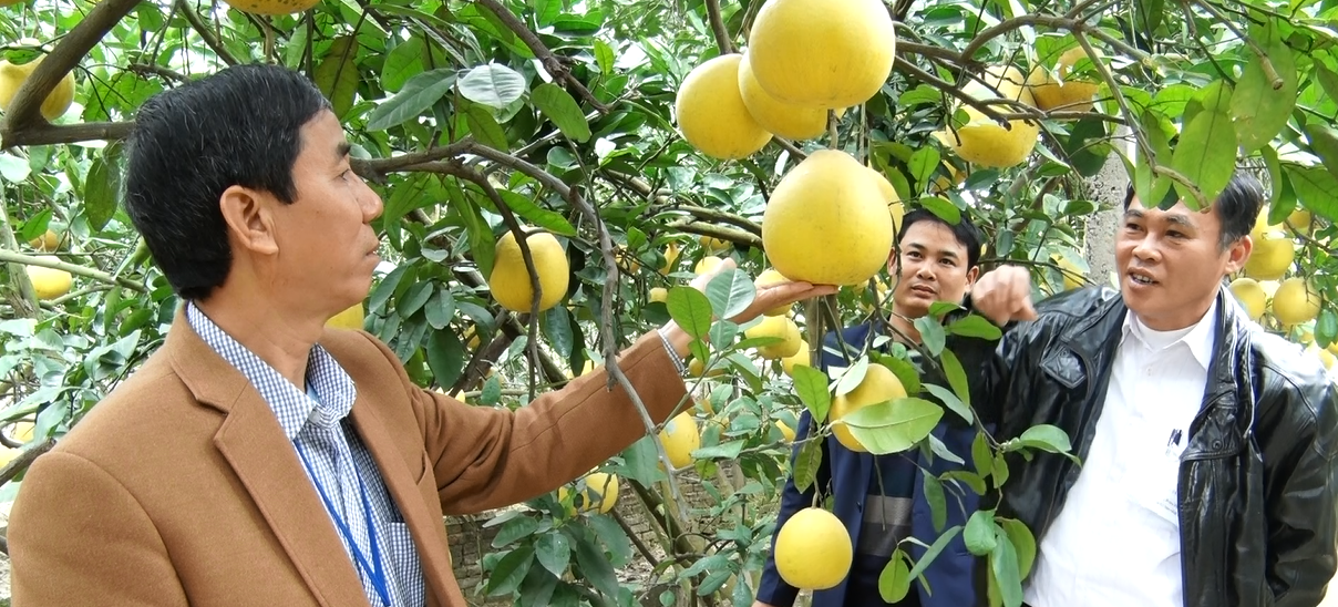 Thanh Hóa: Diện mạo mới trên huyện cán đích nông thôn mới thanh hoa dien mao moi tren huyen can dich nong thon moi