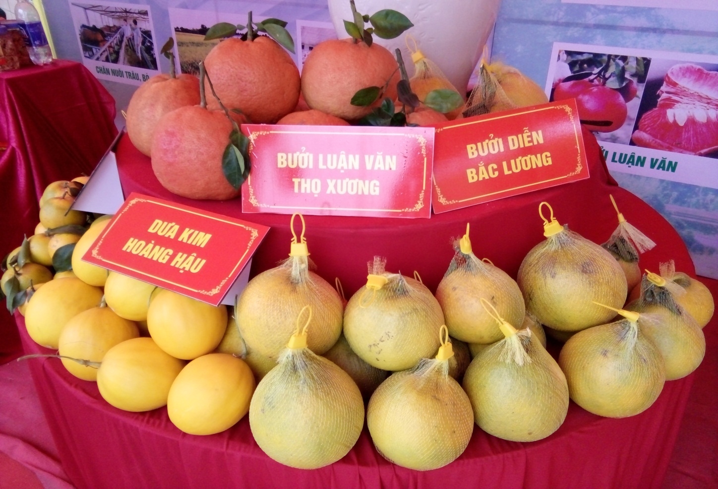 Thanh Hóa: Diện mạo mới trên huyện cán đích nông thôn mới thanh hoa dien mao moi tren huyen can dich nong thon moi