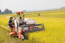 Phòng nông nghiệp huyện Quảng Xương làm tốt công tác chuyên môn 6 tháng đầu năm 2019