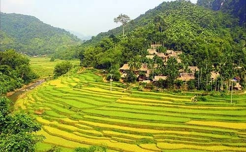 Thanh Hóa: Khu Bảo tồn thiên nhiên Pù Luông làm tốt công tác quản lý bảo vệ rừng 9 tháng năm 2019 thanh hoa khu bao ton thien nhien pu luong la tot cong tac quan ly bao ve rung 9 thang nam 2019