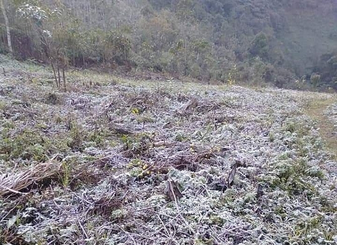nhieu ban vung cao nghe an xuat hien bang gia cham nguong 1 do c