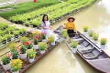 ດົງທາບ ໄດ້ຈັດຕັ້ງ Festival ດອກໄມ້ປະດັບ ຊາແດກ ຄັ້ງທຳອິດ