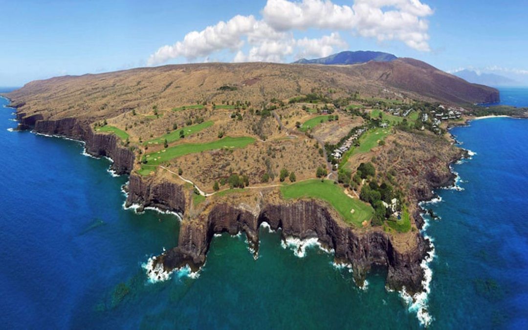 Photo: Hawaii Ocean Project Photo: Hawaii Ocean Project
