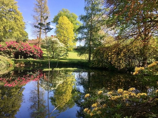 Photo: TripAdvisor Photo: TripAdvisor