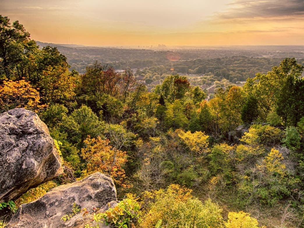 Photo: Bham Now Photo: Bham Now