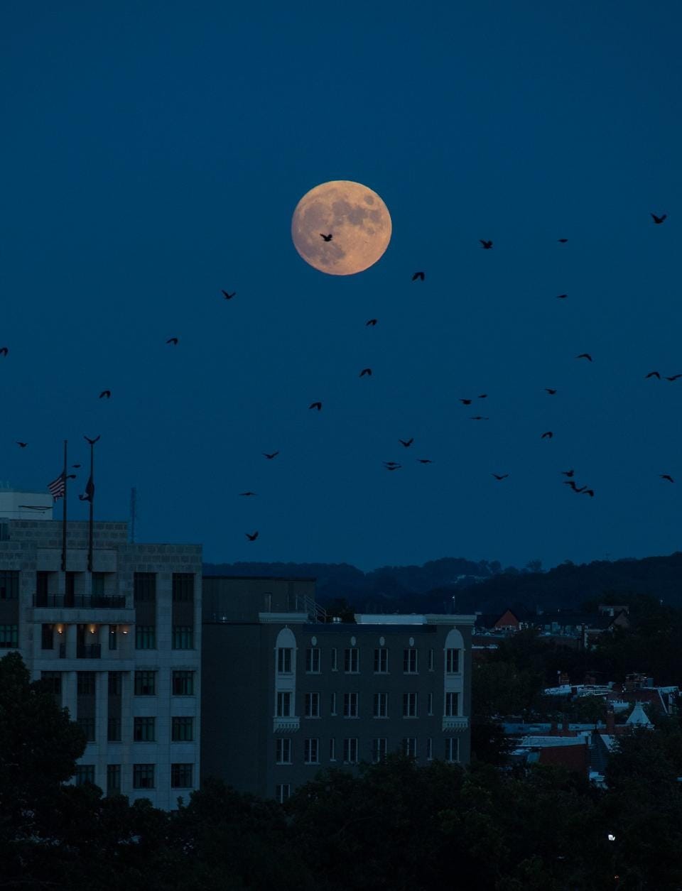 Wolf Moon - The First Full Moon of 2022 Shining Up The Sky Wolf Moon - The First Full Moon of 2022 Shining Up The Sky