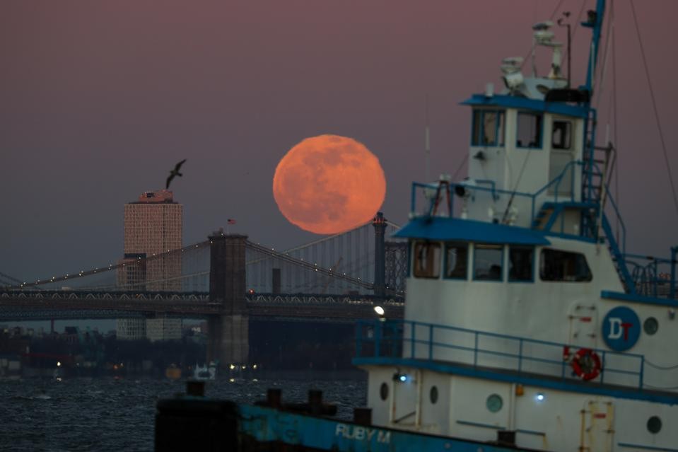 Wolf Moon - The First Full Moon of 2022 Shining Up The Sky Wolf Moon - The First Full Moon of 2022 Shining Up The Sky