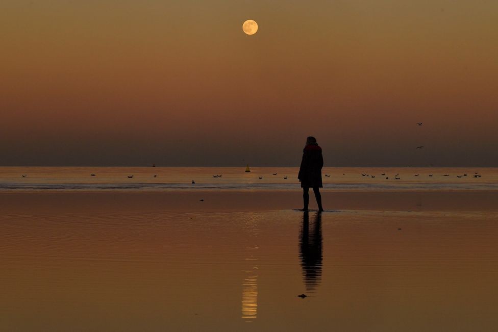 Wolf Moon - The First Full Moon of 2022 Shining Up The Sky Wolf Moon - The First Full Moon of 2022 Shining Up The Sky