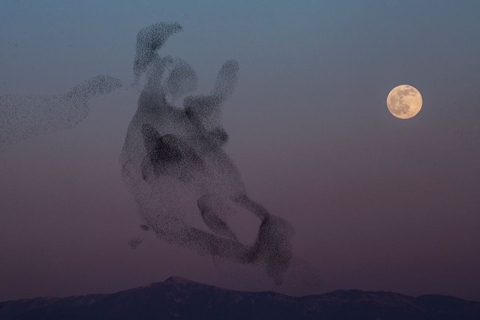 Wolf Moon - The First Full Moon of 2022 Shining Up The Sky Wolf Moon - The First Full Moon of 2022 Shining Up The Sky