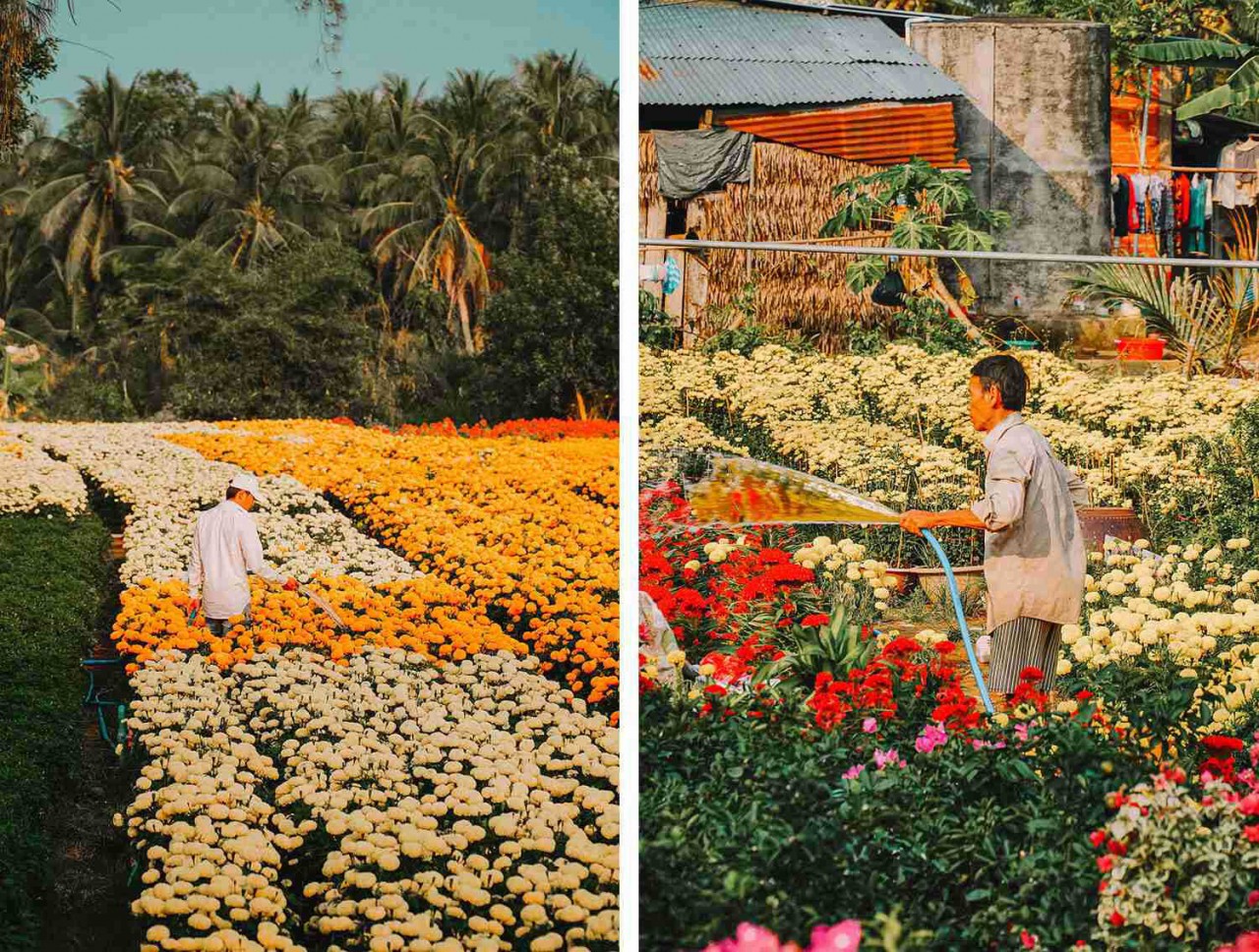 Photo: Hoang Anh Photo: Hoang Anh