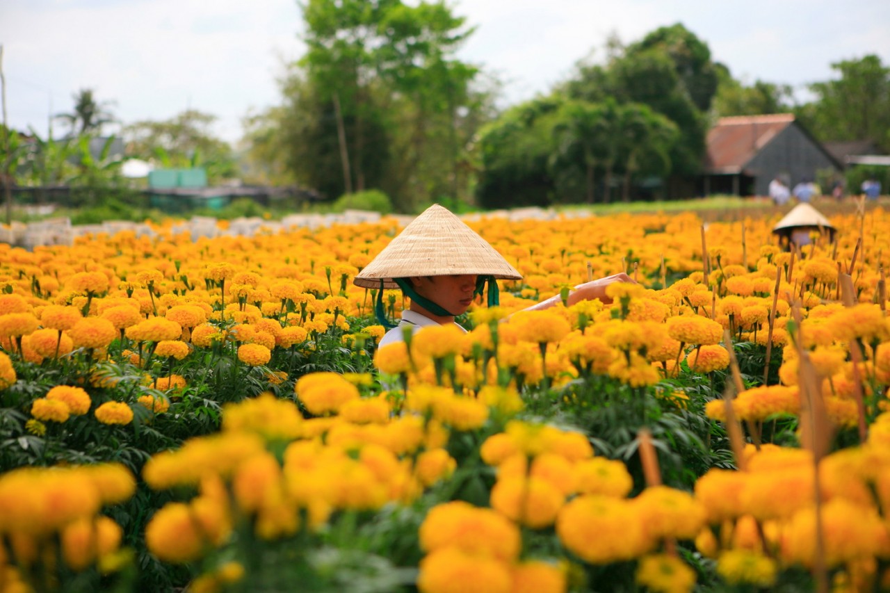 Photo: thamhiemmekong Photo: thamhiemmekong