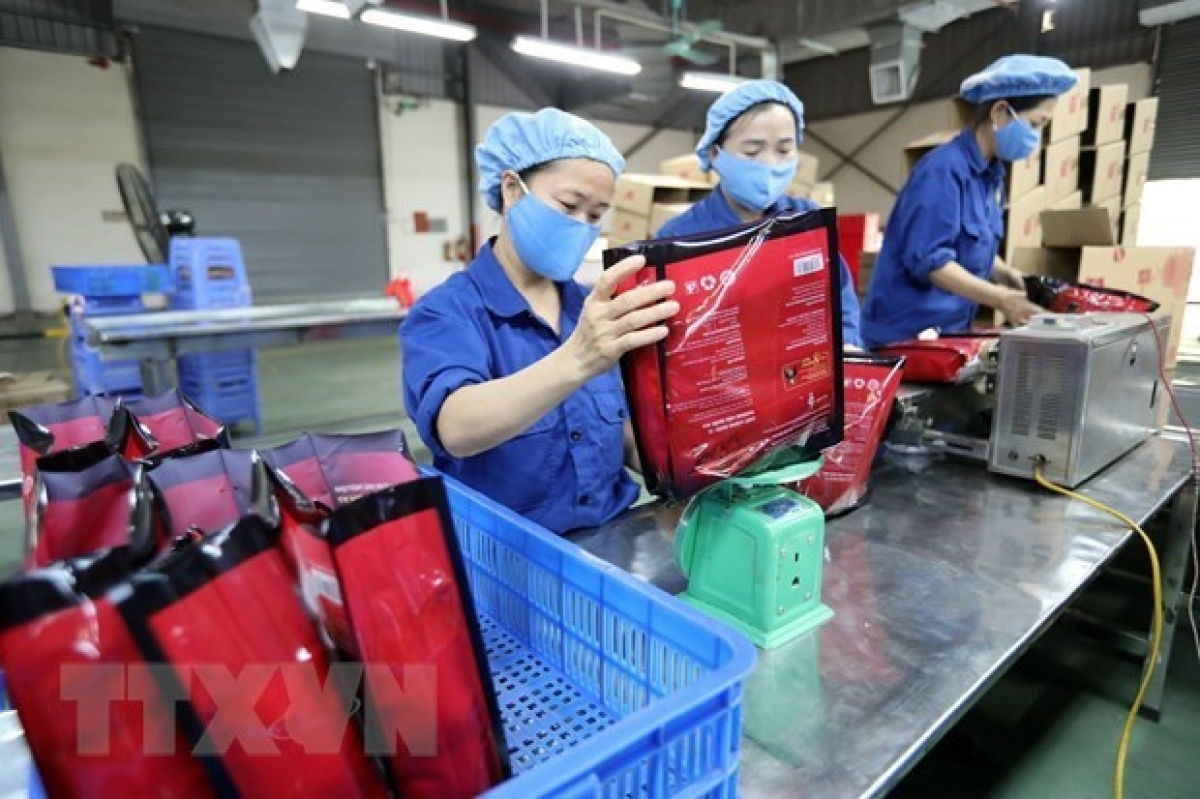 Vietnamese coffee for export (Photo: VNA) 2558 coffee export