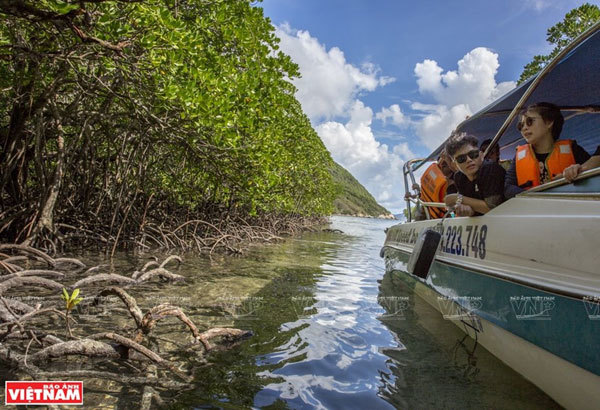 Tourists explore the mangrove ecosystem on Con Dao Islands. (Photo: VNA) 1940 con dao most mysterious island on planet 4